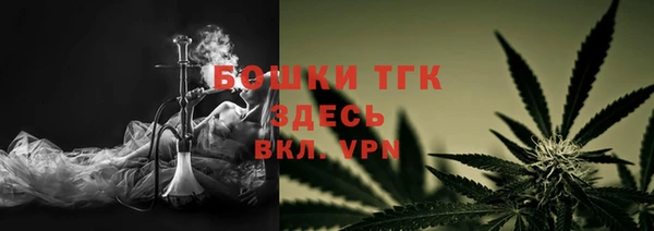 бошки Новодвинск