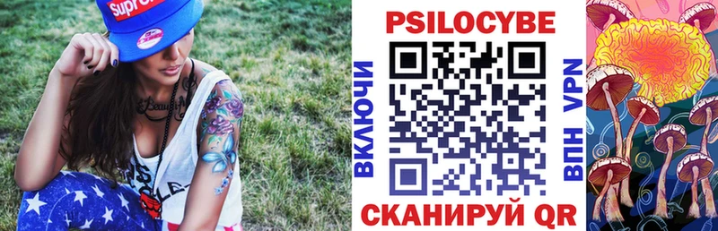 Псилоцибиновые грибы Cubensis  что такое наркотик  Черногорск 