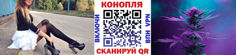 где купить наркотик  OMG ССЫЛКА  Конопля марихуана  Черногорск 